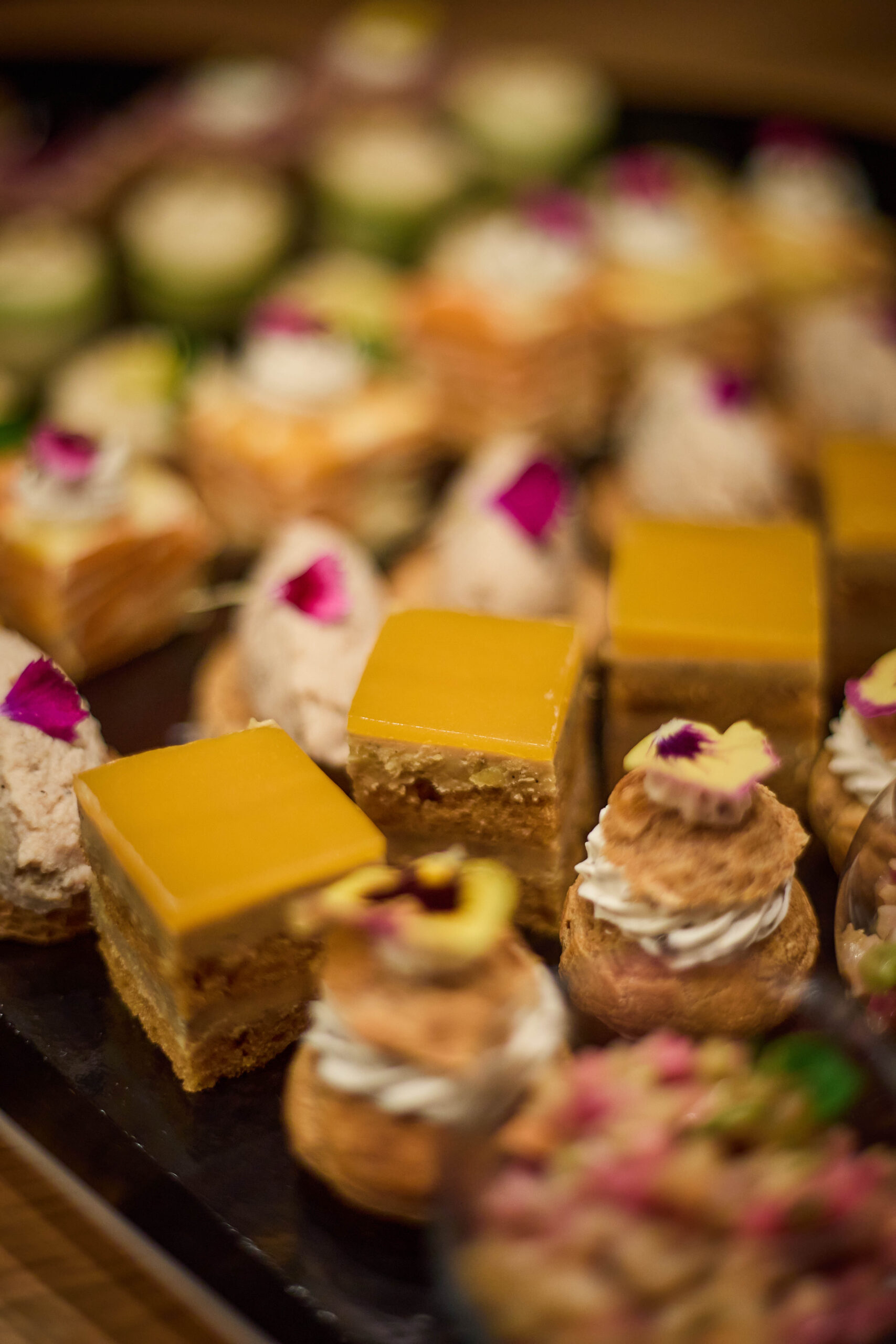 Cocktail Maisons Néo