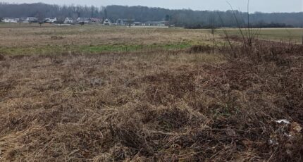 Hirsingue Maison neuve - 2051713-6989annonce120250115laQi6.jpeg Maisons Néo