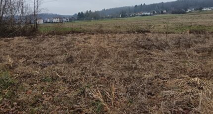Hirsingue Maison neuve - 2051713-6989annonce220250115Sdbab.jpeg Maisons Néo