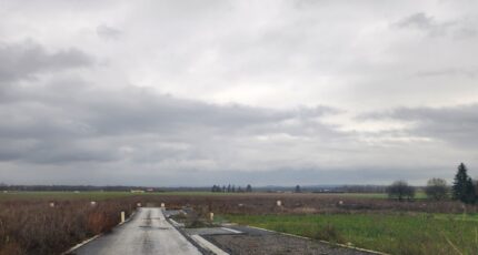 Dietwiller Terrain à bâtir - 2074087-6989annonce220250207LBCzT.jpeg Maisons Néo