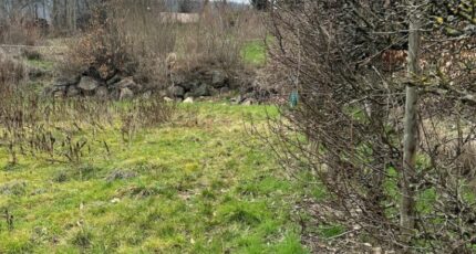 Vœgtlinshoffen Maison neuve - 2082677-9613annonce220250217c3LMd.jpeg Maisons Néo