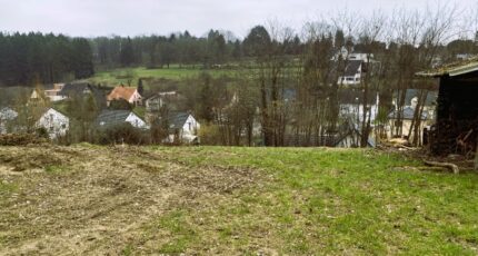 Buschwiller Maison neuve - 2085683-11210annonce120250220Gz3cC.jpeg Maisons Néo
