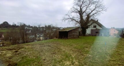 Buschwiller Maison neuve - 2085683-11210annonce220250220RlE4R.jpeg Maisons Néo