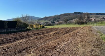 Nothalten Terrain à bâtir - 2111205-9613annonce120250319VzEuH.jpeg Maisons Néo