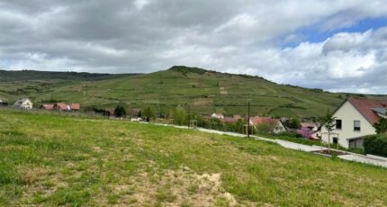 Soultzmatt Terrain à bâtir - 2049015-9613annonce120250113xuHEt.jpeg Maisons Néo