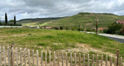 Soultzmatt Terrain à bâtir - 2049015-9613annonce320250113xrFcC.jpeg Maisons Néo