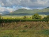 Terrain à bâtir à Bergheim (68750) 2089838-9613annonce120250225NmGBF.jpeg Maisons Néo
