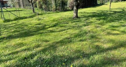 Colmar Maison neuve - 2089900-9613annonce1202502259R4Fh.jpeg Maisons Néo