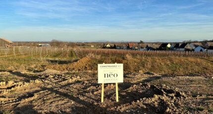 Beblenheim Maison neuve - 2161966-9613annonce120250519KVfwR.jpeg Maisons Néo
