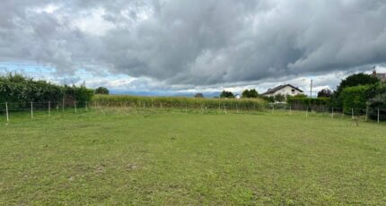 Durrenentzen Maison neuve - 2162110-9613annonce220250519tmwV7.jpeg Maisons Néo