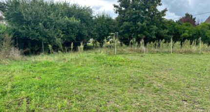 Durrenentzen Maison neuve - 2162118-9613annonce320250519sfMuE.jpeg Maisons Néo