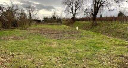 Eguisheim Maison neuve - 2162338-9613annonce320250519Ug9vm.jpeg Maisons Néo