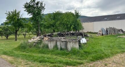 Orschwihr Maison neuve - 2164219-9613annonce220250521JDxJH.jpeg Maisons Néo