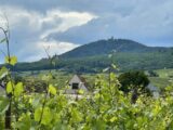 Maison à construire à Bergheim (68750) 2164170-9613annonce220250521GrX8H.jpeg Maisons Néo
