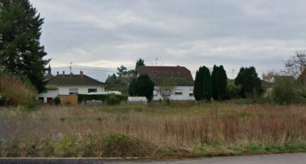 Roppenheim Terrain à bâtir - 2650057-11920annonce120260925QgcSP.jpeg Maisons Néo
