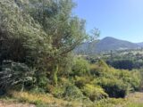 Maison à construire à Villé (67220) 2626313-11920annonce120260909itHTf.jpeg Maisons Néo