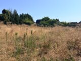 Maison à construire à Schnersheim (67370) 2660904-11920annonce120260826R5fVu.jpeg Maisons Néo