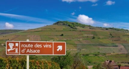 Châtenois Maison neuve - 2620415-11920annonce120260904ZxVqa.jpeg Maisons Néo