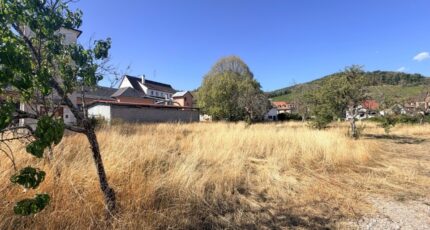 Andlau Maison neuve - 2665356-11920annonce120260909SukyK.jpeg Maisons Néo