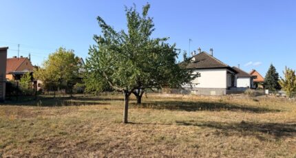 Sélestat Maison neuve - 2670220-11920annonce120260909JOGfg.jpeg Maisons Néo