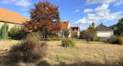 Stutzheim-Offenheim Maison neuve - 2690238-11920annonce320261023Donui.jpeg Maisons Néo